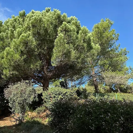 Villa La Garrigue - Au Coeur Des Alpilles